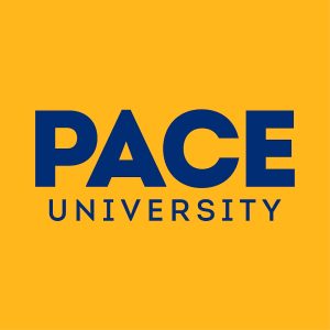 Pace Unviersity, marketing online, DBA in marketing, marketing PhD, online DBA