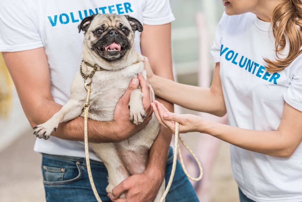 Holiday Volunteering in High School