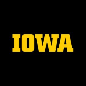 IOWA online business degree