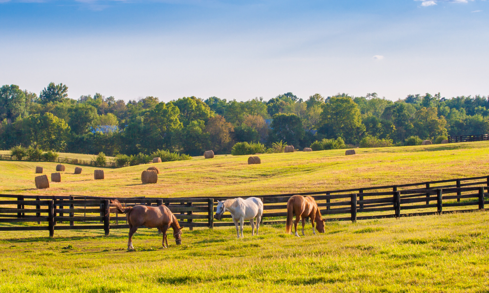 Kentucky Online Colleges