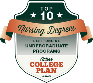 online undergraduate nursing programs