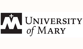 online master of project management, university of mary